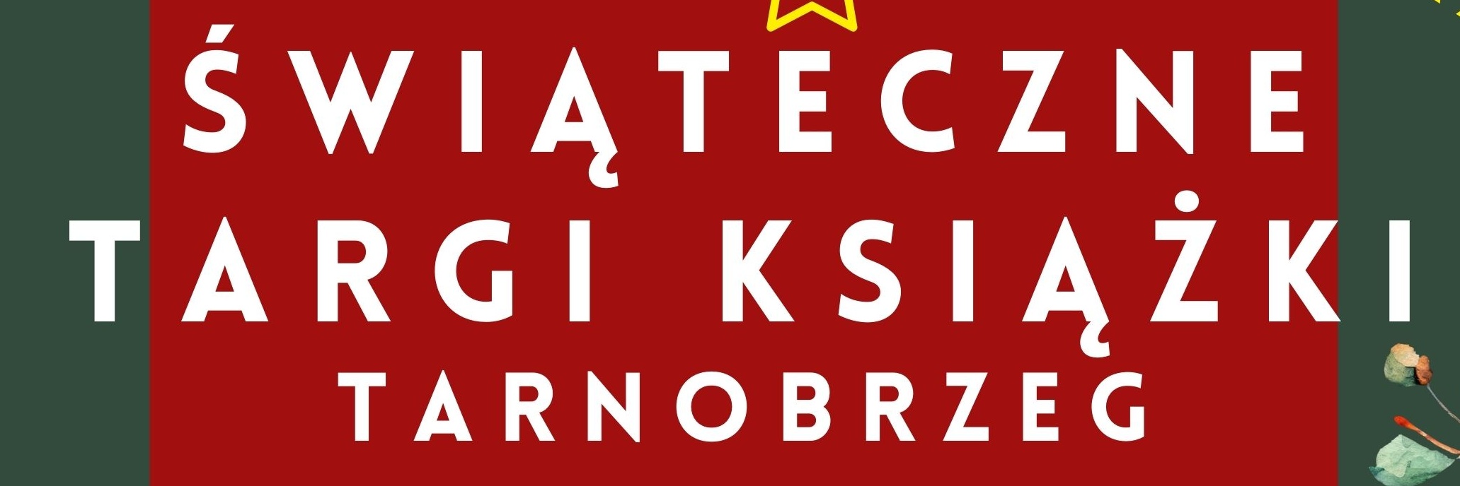 Świąteczne Targi Książki w Tarnobrzegu